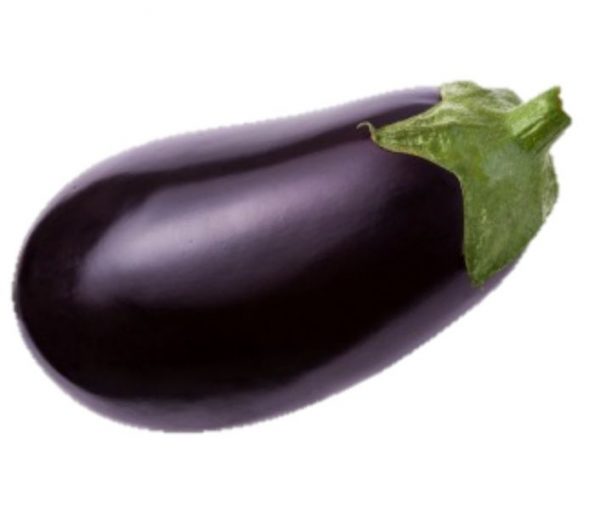 Aubergine