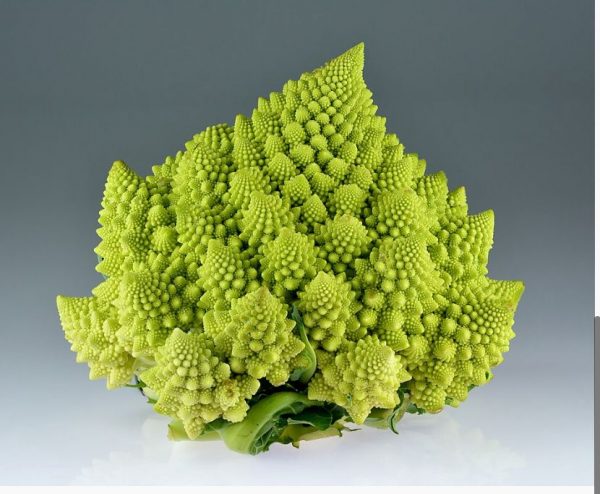 Choux-romanesco