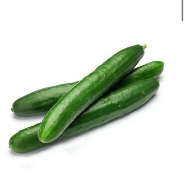 Concombre