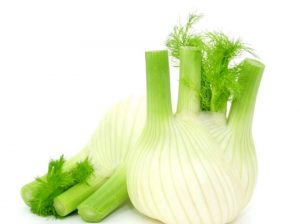Fenouil