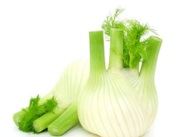 Fenouil