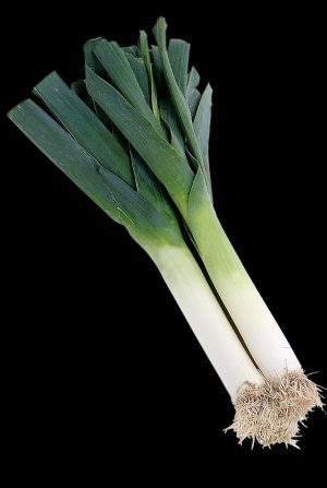 poireaux