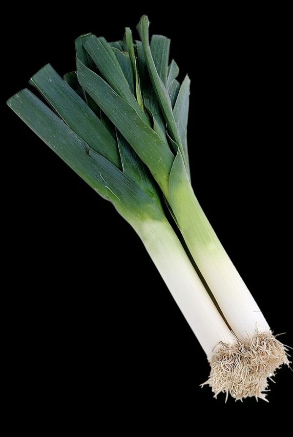 poireaux