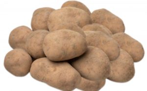 Pomme-de-terre-bintje