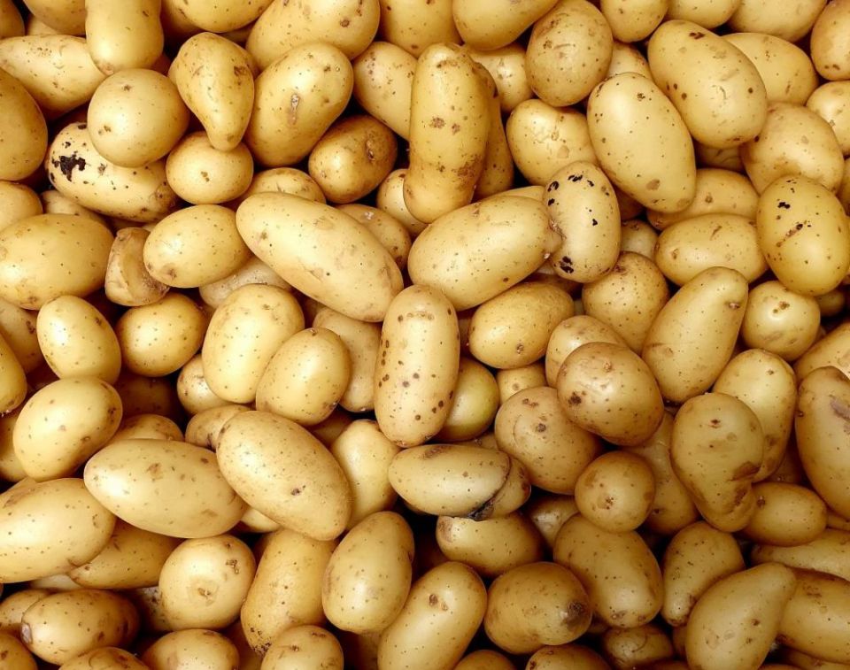 Accueil Pomme-de-terre-grenailles