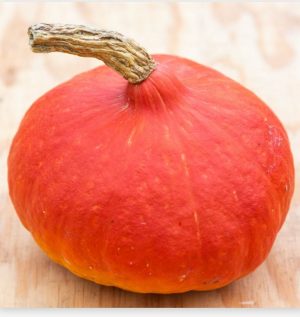 Potimarron