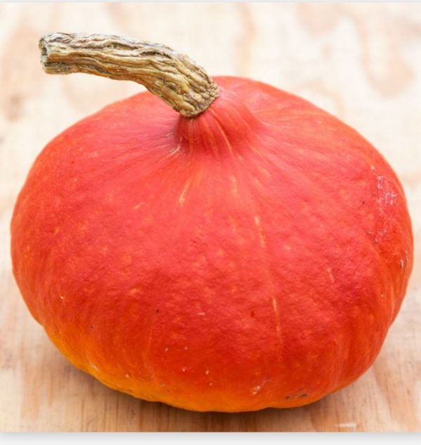 Potimarron