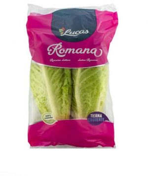 Salade romaine