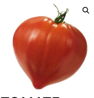Tomate-coeur-de-boeuf.