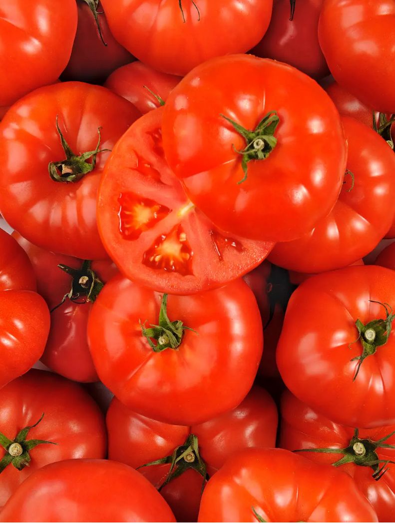 Accueil Tomate-ronde-a-farcir