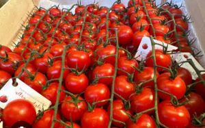 Tomates-cerises-sbm