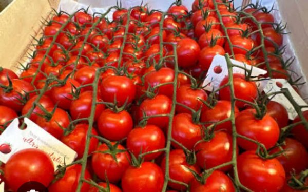 Tomates-cerises-sbm