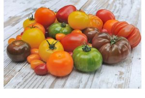 Tomates-collection
