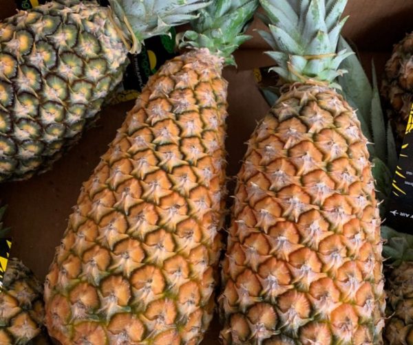 ananas pain de sucre