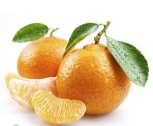 clementine portugal