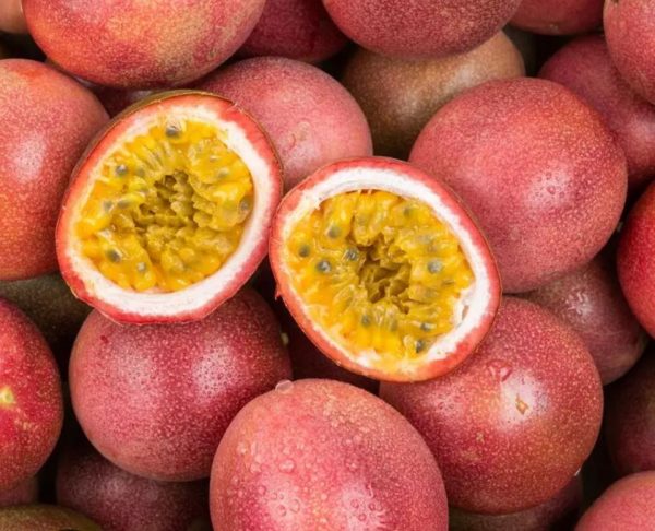 fruit passion