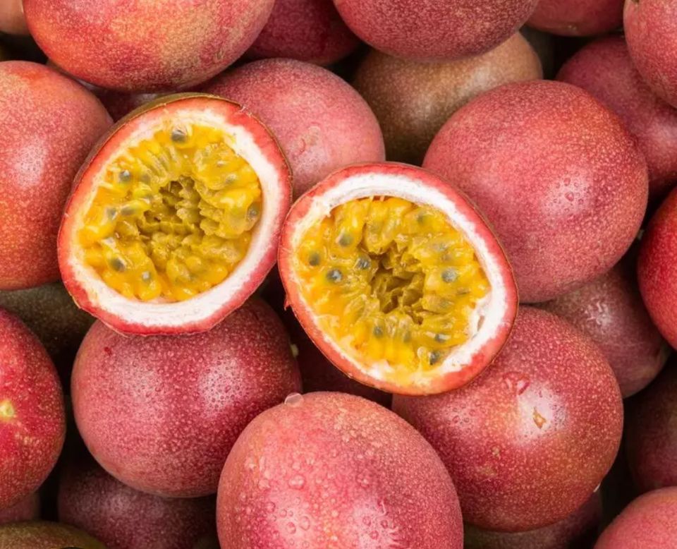 Accueil fruit passion
