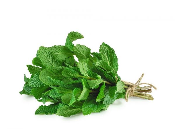 menthe