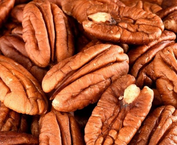 noix pécan