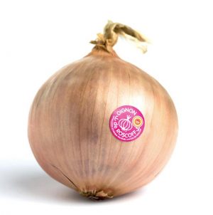 oignon roscoff