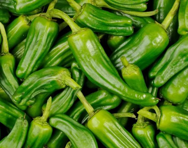 poivron padron