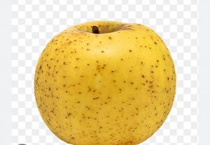 pomme blechard