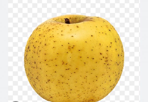 pomme blechard