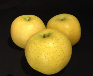pomme blechard vrac