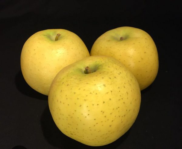 pomme blechard vrac