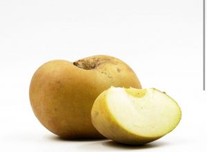 pomme canada
