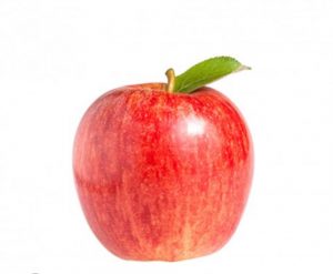 pomme gala
