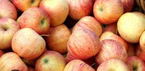 pomme gala vrac