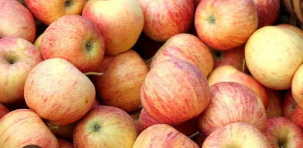 pomme gala vrac