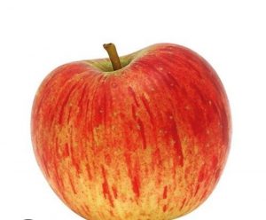 pomme reine des reinettes