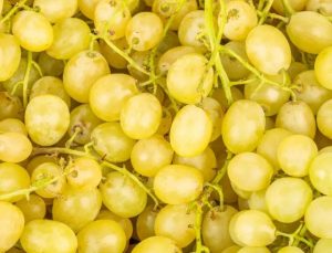 raisins candy coton