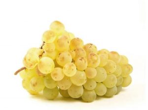 raisins chasselas