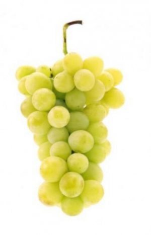raisins italia