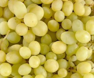 raisins sans pépin jaune