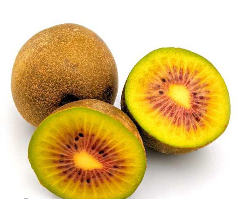 kiwi rouge kiwi rouge