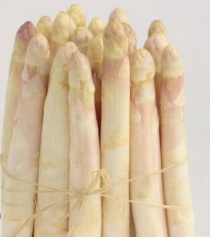 asperge blanche