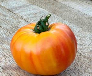 Tomate ananas